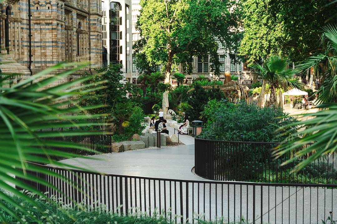 A concrete path winds through the grounds of a historic building, surrounded by tropical green trees