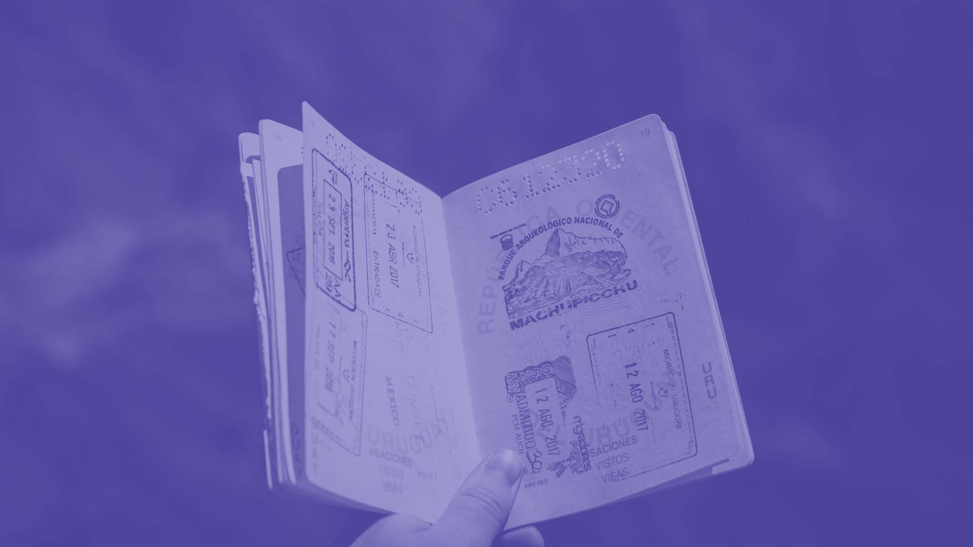 Somebody holding their visa