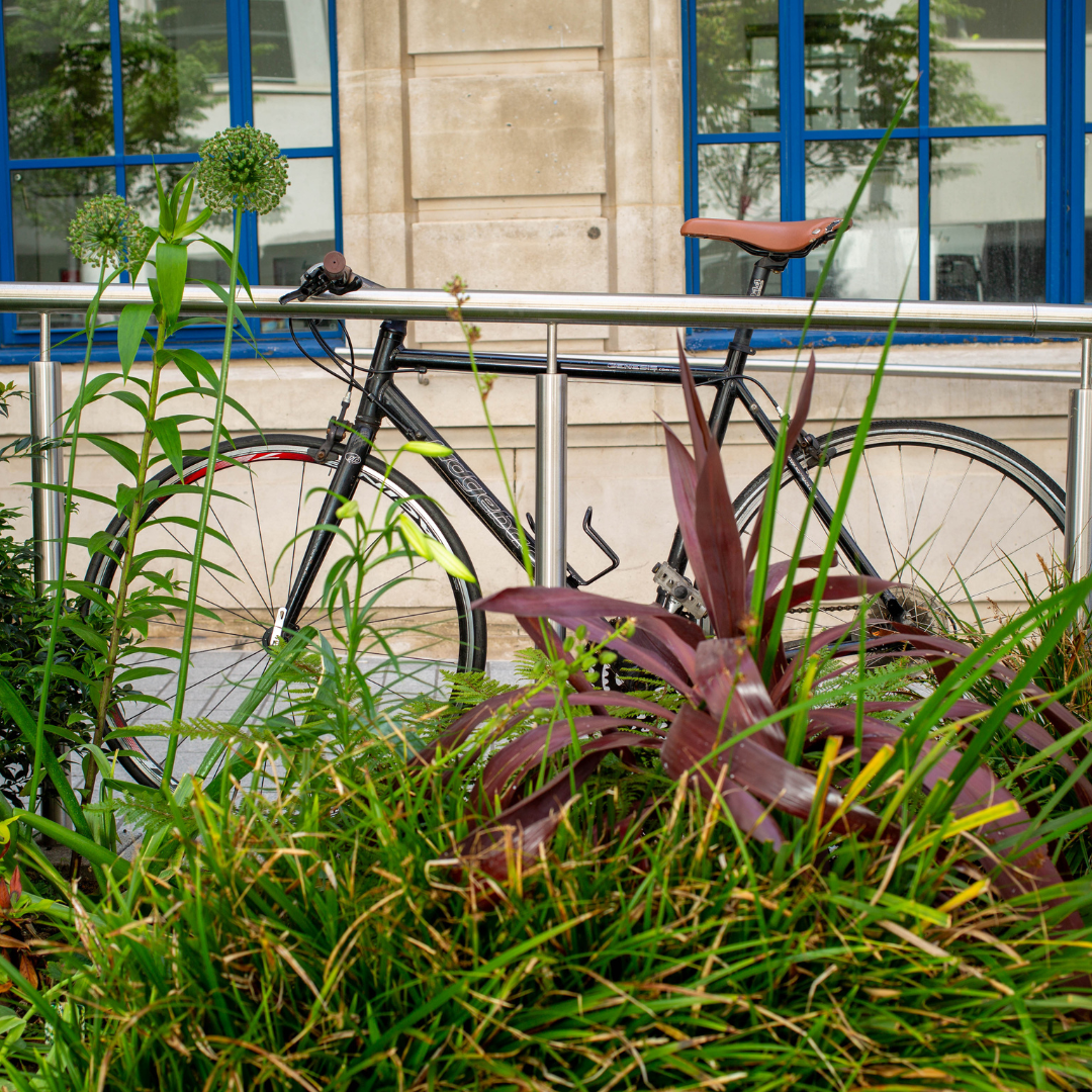 Your Ethics and Sustainability Advisor is the lead the frontier to make LSE an ethical and sustainable community, they help ensure campus life supports sustainable development for all. They advise the SU on environmental issues to investigating LSE's ethical and social credibility.